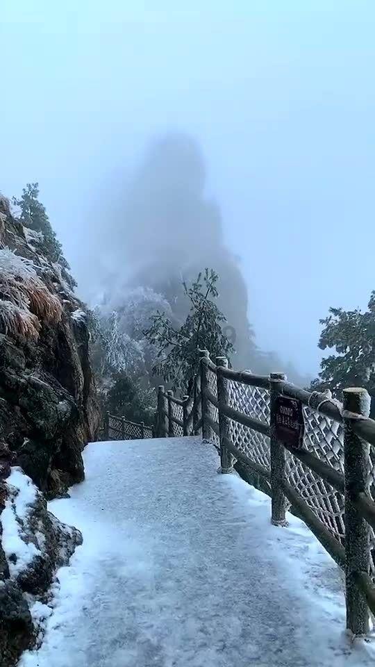 硕大的苹果